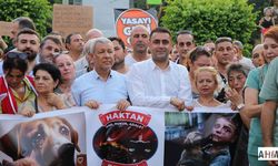 Başkan Emrah Kozay'dan Hayvanseverlere Destek: "Yaşam En Temel Haktır!"