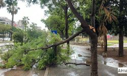 Meteoroloji'den Adana Ve Çevresi İçin "Tam Fırtına" Uyarısı!