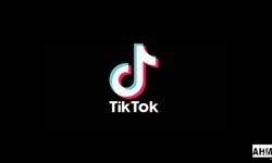 TikTok Videolarını Yazısız İndir | TikTok Yazısız Video İndirici