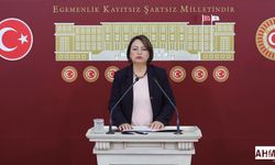 Müzeyyen Şevkkin, “Kadınlar Öldürülüyor, Temsiliyette Yer Alamıyor”