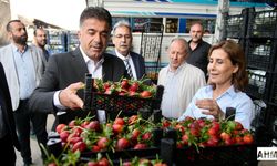 Başkan Oya Tekin, Günün İlk Işıklarıyla Hal Esnafıyla Buluştu