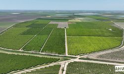 Adana’da 2025 Yılı Sulama Sezonu Başladı