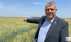 Ayhan Barut'tan Buğday Üreticileri İçin Açık Çağrı