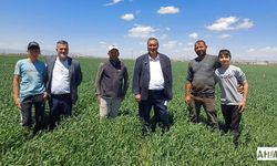 Gürer “TMO Buğdayda Alım Fiyatını Açıklamalıdır”