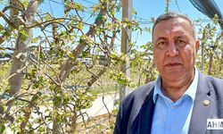 Gürer “Zirai Don Etkisinin Farkına Varılmalıdır"
