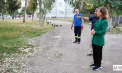 Başkan Oya Tekin'den Gürselpaşa’da Sabah Denetimi