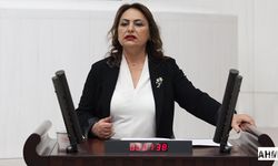 Müzeyyen Şevkin “ÇED Toplantıları İkna Seanslarına Dönüştü”