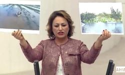 Adanalı Çiftçiyi Yağmur ve Dolu Vurdu