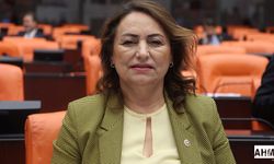 Şevkin “Emekliler, Asgari Ücretliler Kurbanlıkların Önünden Bile Geçemiyor”