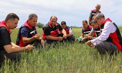 Kuraklıktan Etkilenen Tarım Alanlarında İnceleme