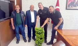 GDO’lu Soya Tohumuna Geçit Yok: 27 Kiloluk Parti ABD’ye Geri Gönderildi