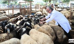 Yüreğir'de  "Kurban Kesim Yerleri" Açıklandı