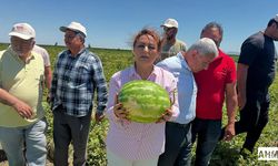 CHP'li Vekiller Çukurovalı Çiftçinin Yanında: "Çiftçi Üretmezse Taş mı Yiyeceğiz?"
