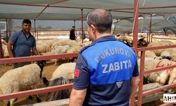 Çukurova’da Kurban Bayramı Öncesi Sıkı Denetim