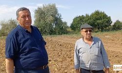 Gürer “Tarlada Ziyan, Çiftçide İsyan”