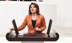 CHP’li Gülcan Kış: “Bu Yasa Tam Bir Doğa Talanıdır, Geçit Vermeyeceğiz!”