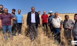 Gürer “Üreticinin, Çiftçinin Canı Yanıyor”