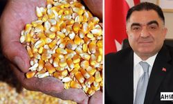 Adana’da Mısır Hasadı Öncesi İthalat Tepkisi: “Çiftçiyi Mağdur Etmeyin!”