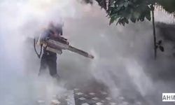 Yusuf Kanlı “İlaçlama Hem Etkisiz Hem Yetersiz”