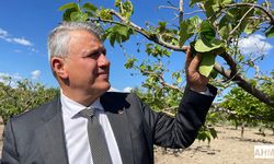 Ayhan Barut "Sözde Değil Gerçek Çözüm İstiyoruz"