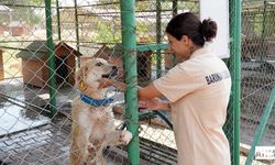 Çukurova Belediyesinden "Can Dostlar"a Şefkat Eli!