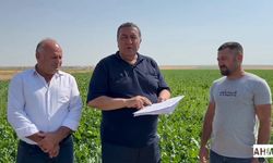 Gürer “Pancarı Stratejik Ürün, Alım Fiyatı Açıklanmalıdır”