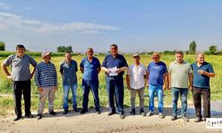 Gürer “Tarımda Güvenceli Çalışan Sayısı Çakıldı”