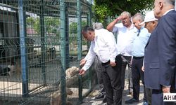 Güngör Geçer, Hayvan Barınağı’nda İncelemelerde Bulundu