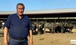 Gürer “Kuraklık Dörtnala Geliyor”