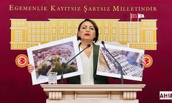 CHP’li Şevkin’den Tarihi ‘Deprem’ Çağrısı!