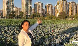 Müzeyyen Şevkin “Çiftçiyi Don Vurdu, Şimdi De Kuraklık Tehdidinde!”