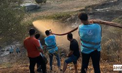Ülkü Ocakları’ndan “Yeşil Vatan” mücadelesi!