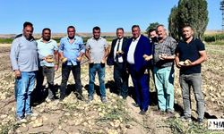 Gürer "Patates Tarladaki Dert Oldu"