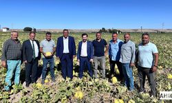 Gürer “Tarlada Üründe Sorun Çok”