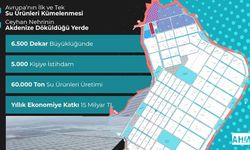 Adana Karataş’ta Türkiye’nin İlk Su Ürünleri İhtisas OSB’si için Başvurular Başladı