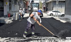 Seyhan Belediyesi’nden Dağlıoğlu Mahallesi’nde Asfalt Hamlesi