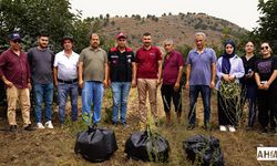Kozan’da Akdeniz Meyve Sineği ile Mücadele: Üreticilere Bilgilendirme ve Poşet Dağıtımı