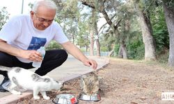 Yusuf Kanlı’dan “Bir Kap Su, Bir Kap Mama” Çağrısı!