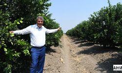 Ayhan Barut'tan 'Yetersiz Destek' Tepkisi