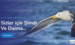 Felemenkçe Türkçe Çeviri ve Japonca Türkçe Çeviri