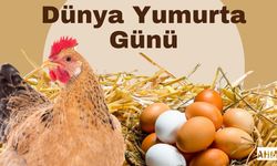 Eroğlu’ndan Dünya Yumurta Günü Mesajı: “Güçlü Yumurta, Doğal Besinlerle Dolu”