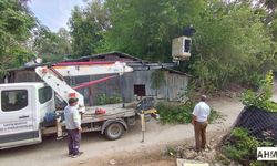 Karataş’ta Park ve Bahçelerde Bahar Mesaisi