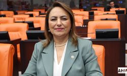 CHP’li Dr. Şevkin, Yumurtalık’ın Meclisteki Sesi Oldu