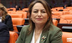Aladağ’a ‘Kayak Merkezi’ Çağrısı