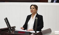 Müzeyyen Şevkin “Suç Örgütü Lideri Serbest, Adana Gibi Başkan Tutsak!”