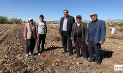 Gürer “Patates Çiftçisi Üretimden Soğuyor”