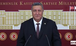 Gürer “Yaban Hayatı Korunmalı, Ranta Kurban Edilmesin”