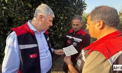 Adana’da Akdeniz Meyve Sineği ile Mücadele Sürüyor: Tuzaklar Başarıyla Çalışıyor