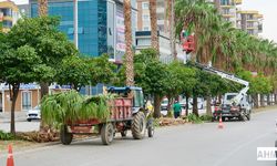 Büyükşehir Belediyesi’nden Aliya İzzetbegoviç Bulvarı’nda Budama Çalışması