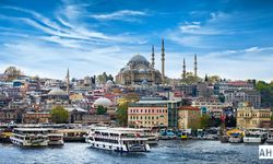 Sokak Hayvanları Sorunu Nasıl Çözüme Kavuşacak?